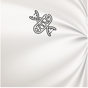 Mitochondrial Genome Sequencing Test